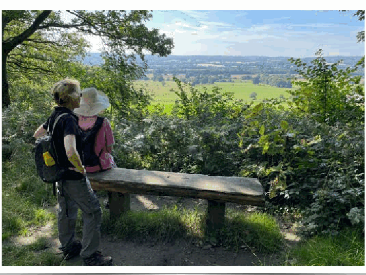 Peaceful woodland walk